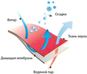 Мотоштаны кожаные Sweep Taurus 2
