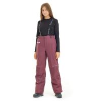 Dragonfly Штаны детские утепленные Gravity Teenager Purple - Black 2023 в Москве